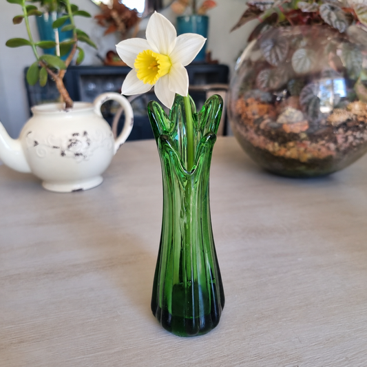 Vintage deep green swung glass vase holding a single white daffodil